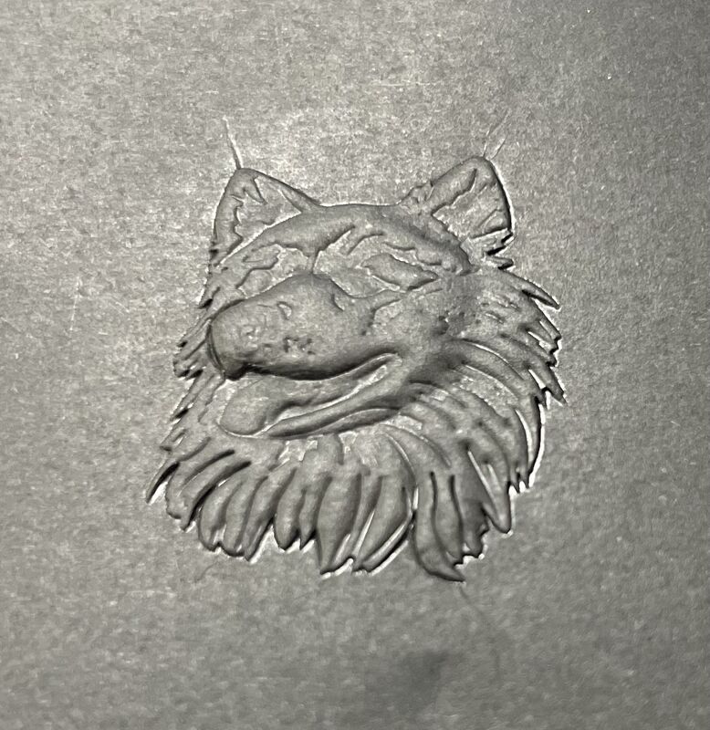 3D ゴールディング 自動 ホットフォリューム スタンプリング マシン 全範囲のパッケージ紙,カラースタンプリング